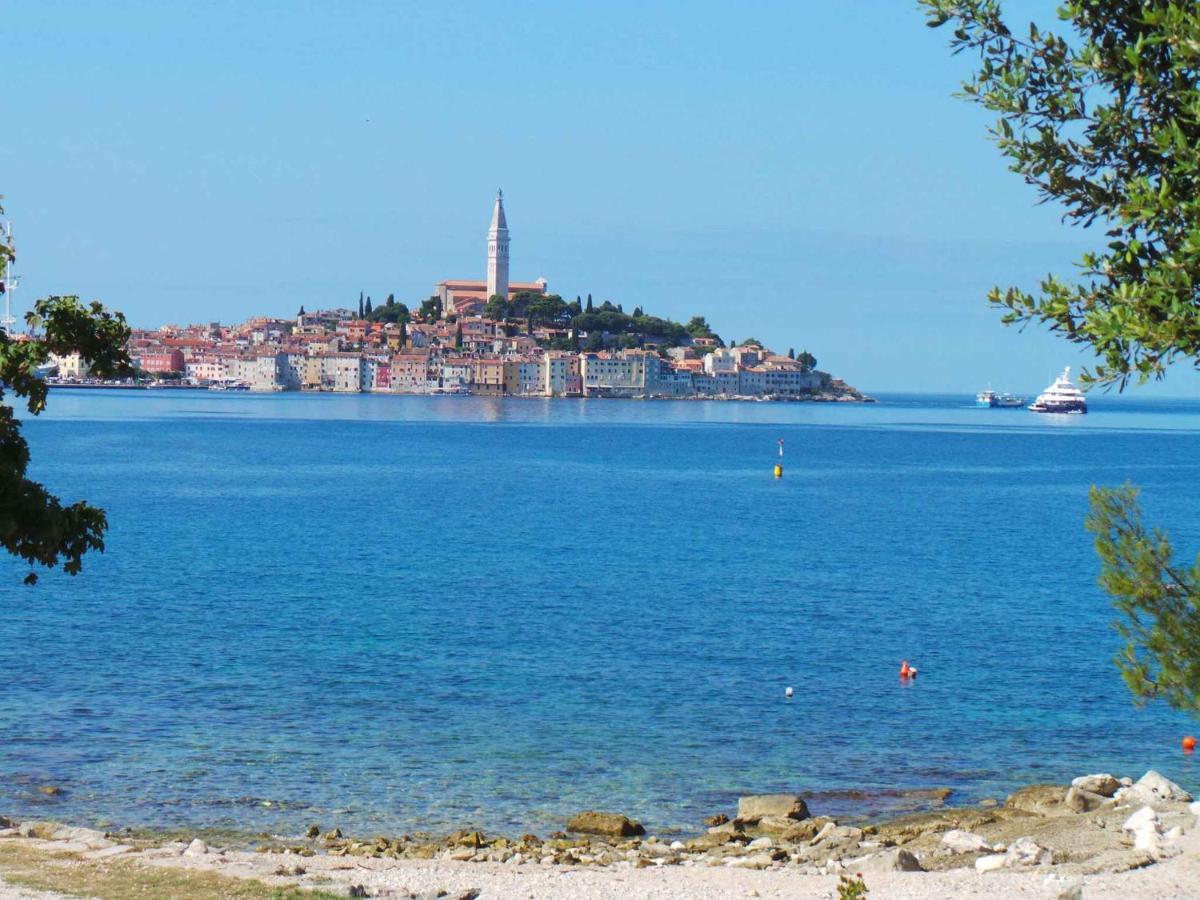 Apartment In Rovinj/Istrien 11735 Екстер'єр фото