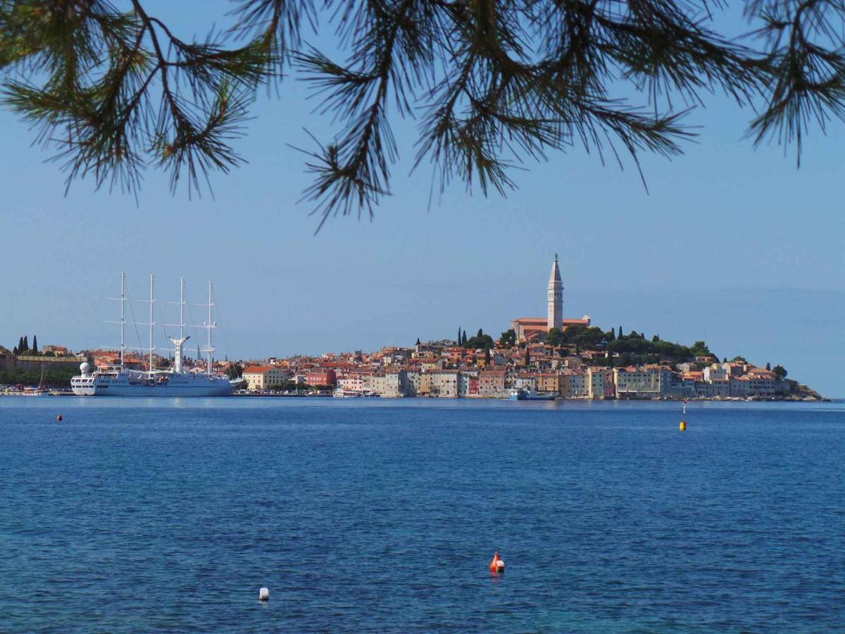 Apartment In Rovinj/Istrien 11735 Екстер'єр фото